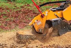 How Our Tree Care Process Works  in  Payson, UT
